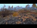 Лесные пожары // The forest after the fire