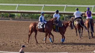 Bartholdy Cruises to Victory in The Eighth at Del Mar