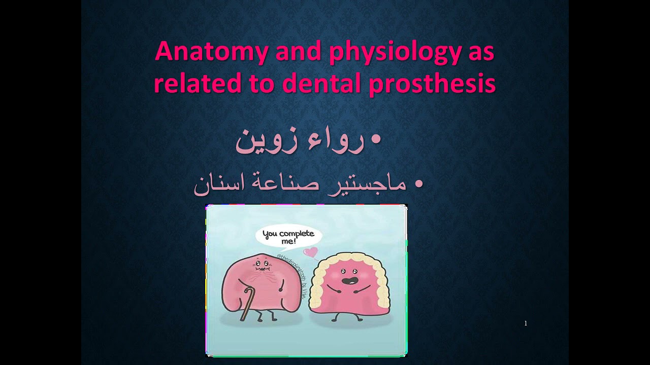 Anatomy and physiology of maxilla // Prosthodontics