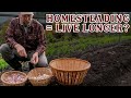 Do this to live healthier and longer lives with homesteading pantry chat with shelby devore