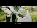オオキンケイギクの駆除にご協力を！