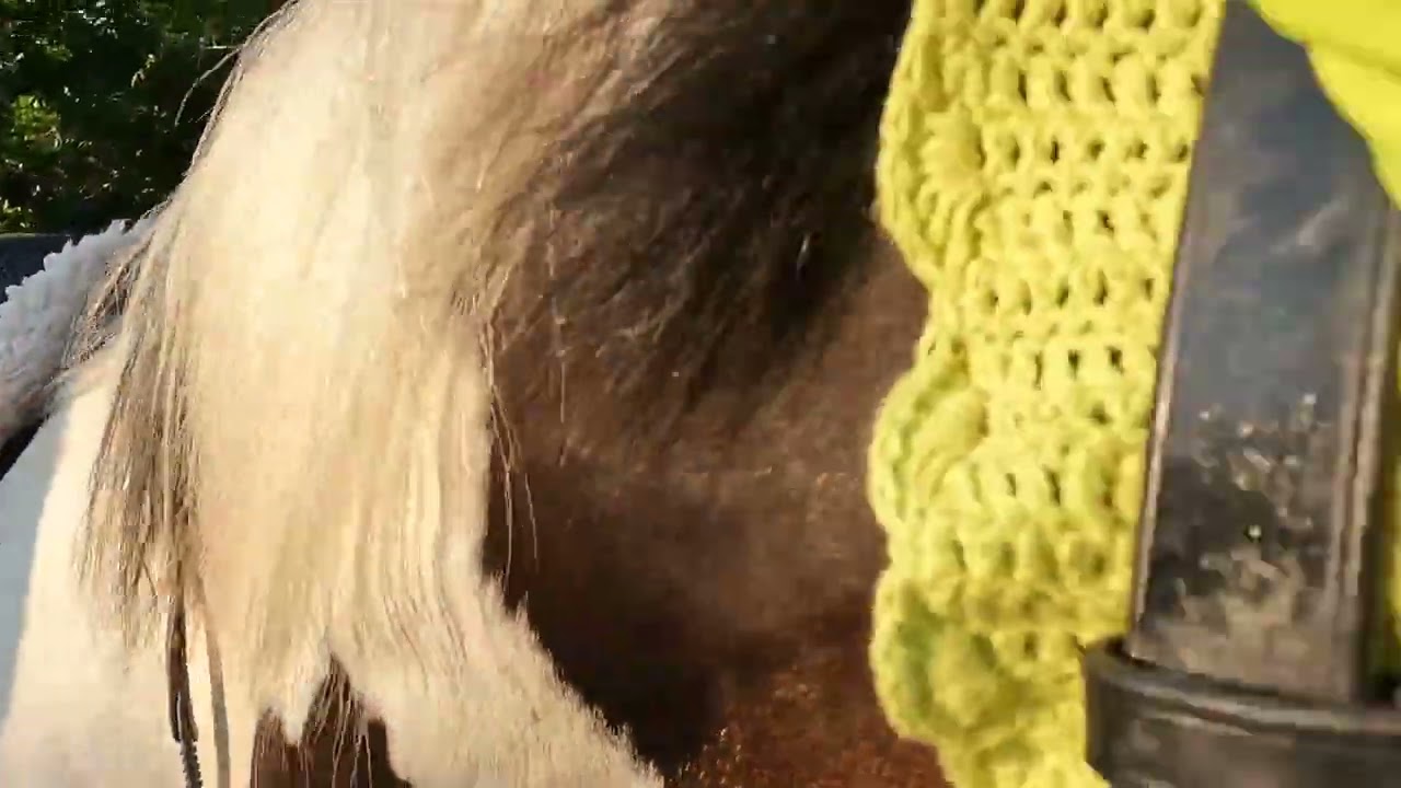 Flipping Bridleway Gates Lol 1