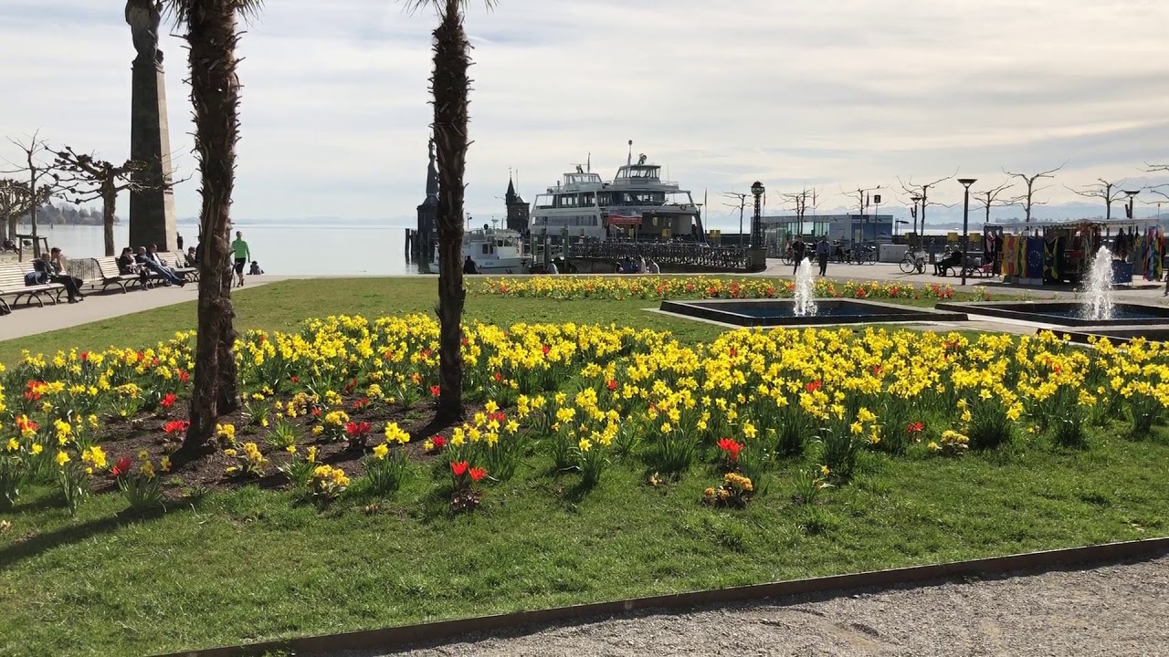 Bodensee Konstanz Stadtgarten Palmen Blumen mit Blick auf Fähre YouTube