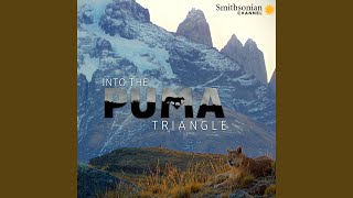Download Lagu Into the Puma Triangle Download Lagu Into the Puma Triangle