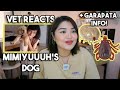 Vet Student reacts to @mimiyuuuh  dog + TICKS/GARAPATA FACTS! | Arah Virtucio