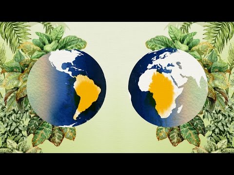 Video: Kāds ir bioģeogrāfijas jēdziens?