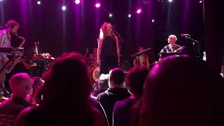 View The New Pornographers Perform Cat and Mouse With the Light Live in Boston