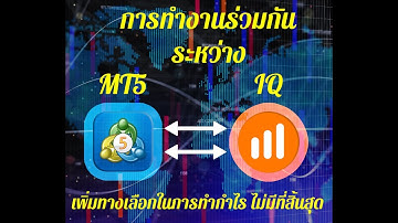 Basic API IQOPTION [PYTHON] EP.52 MT5 SEND ORDER  TO IQ OPTION (metatrader5 to iqoption)