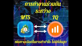 Basic API IQOPTION [PYTHON] EP.52 MT5 SEND ORDER  TO IQ OPTION (metatrader5 to iqoption)