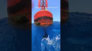 പലർക്കും അറിയാത്ത കടലിലെ ഒരു  dangerous പോയിൻ്റ് #nemo #malayalam #education #sea