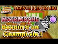 Matriarche  besoin dun champivie  agence dentraide requte n10  paper mario porte millnaire