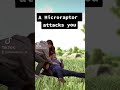 what happen if microraptor attacks you in ark first time #gameplay #games #arksurvival #arkmobile