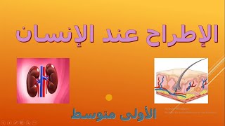 ملخص درس الإطراح عند الإنسان السنة أولى متوسط علوم طبيعية