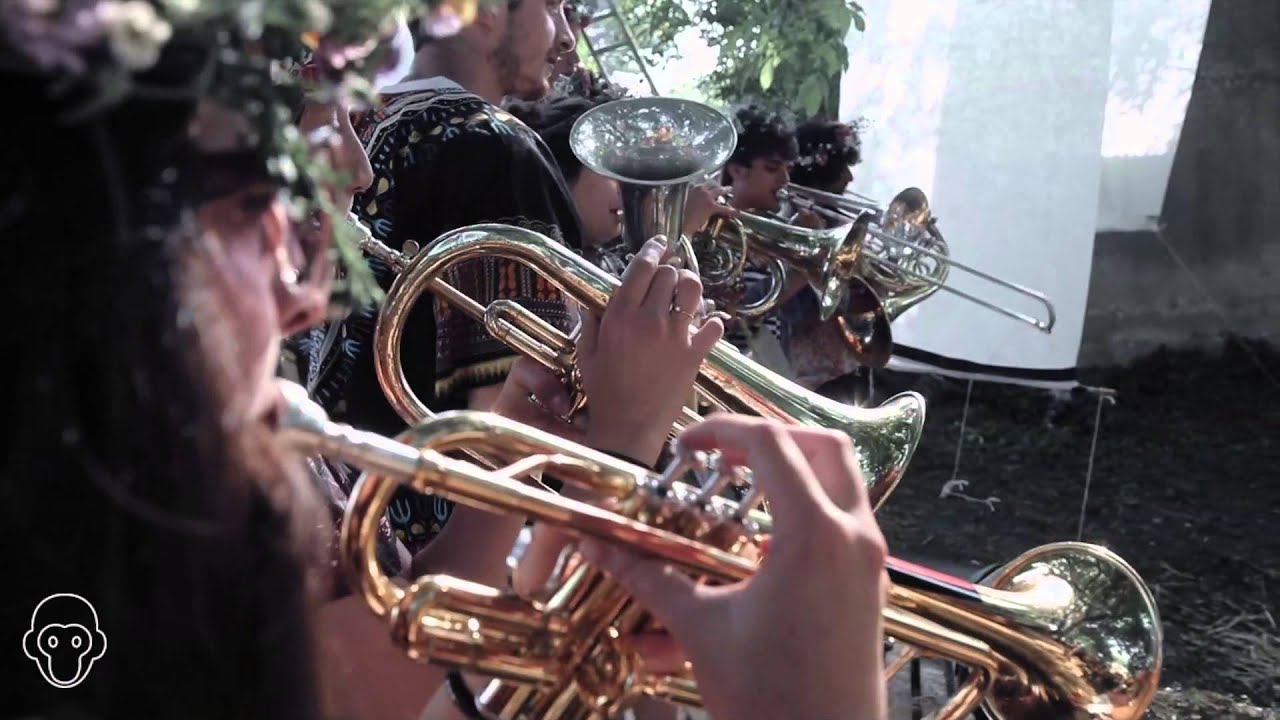 Pete the Monkey Festival 2014 (after-movie)