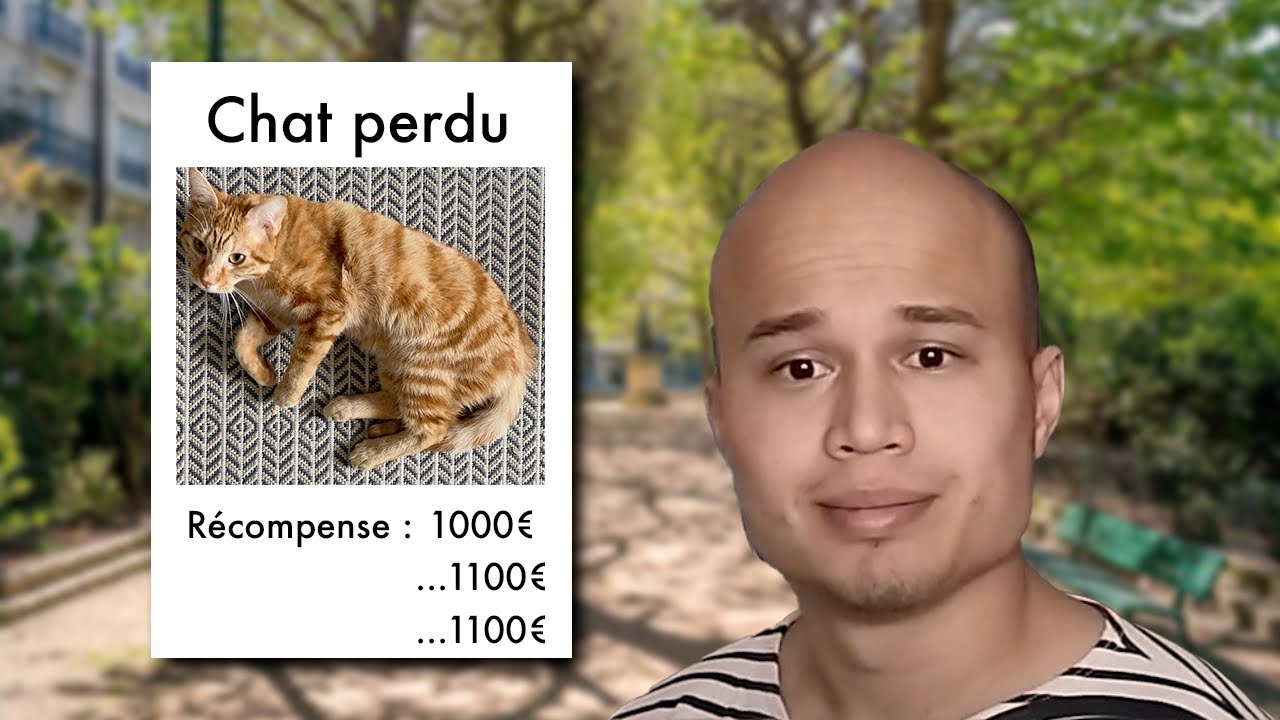 JEU-CONCOURS : Aidez-moi à retrouver mon chat ! 1000€ + 0,10€/abonné de ...