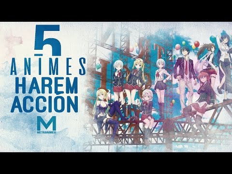 5 Animes De Harem Y Acción | Animes Harem Pt 1