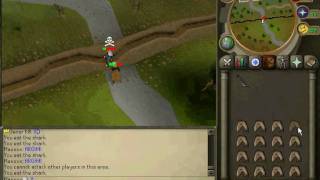 508 pking