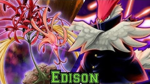 Edison Format Match Amaryllis Burn VS Vayu Turbo