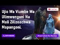 UJIO WA VIUMBE WA ULIMWENGUNI JINSI WALIVYOENDESHA MAMBO YAO KISIRI NA MALI WALIZOACHA MAPANGONI UJIO WA VIUMBE WA ULIMWENGUNI JINSI WALIVYOENDESHA MAMBO YAO KISIRI NA MALI WALIZOACHA MAPANGONI