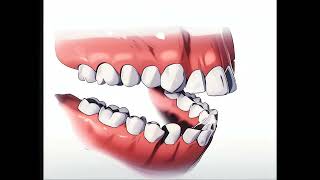 Anime Dental 3D Animation - Learn To Do It With Our Books