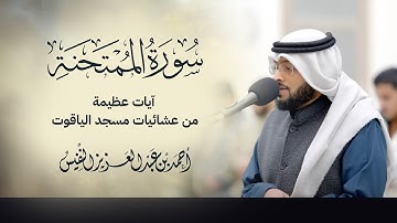 سورة الممتحنة كاملة آيات عظيمة من عشائيات مسجد الياقوت