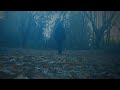 Capture de la vidéo Drusuna - Solitary Woods