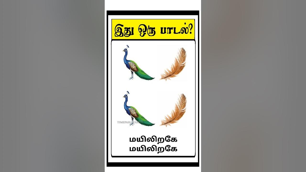 guess the song quiz 7 #quiz #braingames #shorts  #testyourbrain #timepasscolony #riddles #puzzles