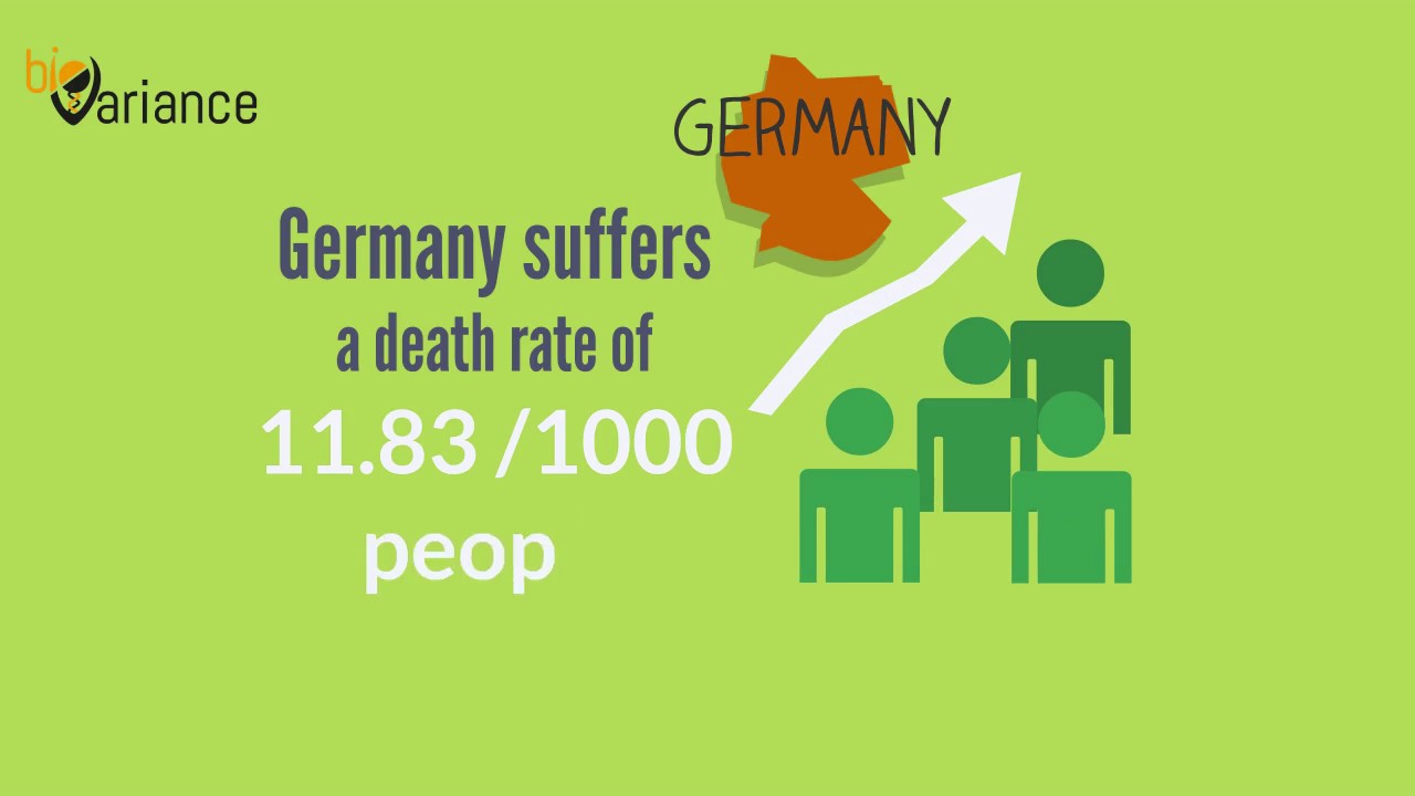 Digital Boxitin || Explainer video animation for Bio Variance || Digital Marketing
