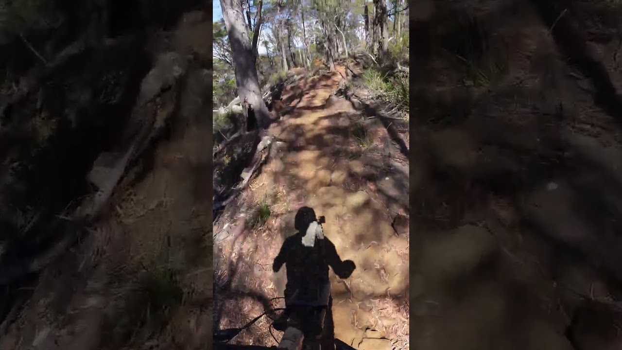 Tippogoree MTB Trails!