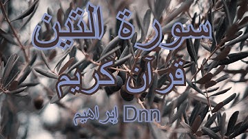 سورة التين | قراءة جميلة | قرآن كريم | إبراهيم DNN 📖