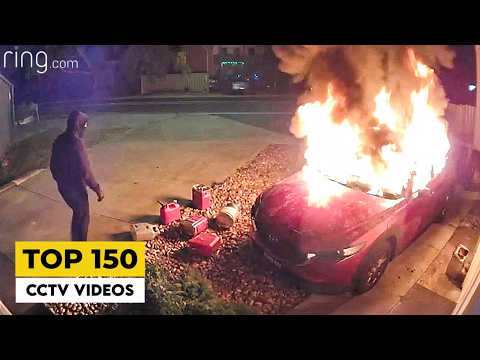 TOP 150 MOST VIEWED SECURITY CAM VIDEOS | BEST OF WHAM BAAM