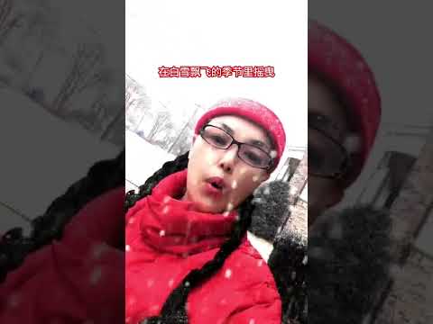 2002年的第一场雪