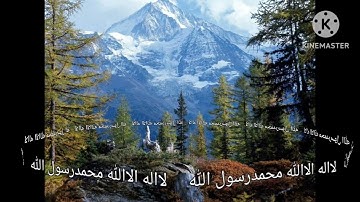 تلاوة من سورة الانبياء في صلاة التراويح رمضان 1446هجرية 2025ميلادية