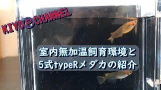 我が家のメダカ室内飼育環境と5式typeRのご紹介