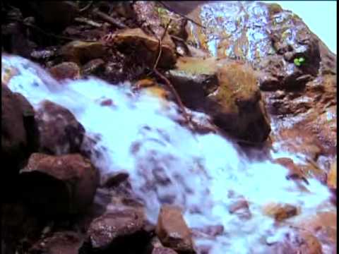 Guslün Farzları