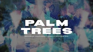 palm trees // p. cryptic