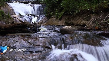 سوره فصلت..الشيخ علي الحذيفي