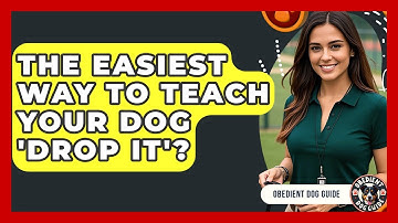 The Easiest Way To Teach Your Dog 