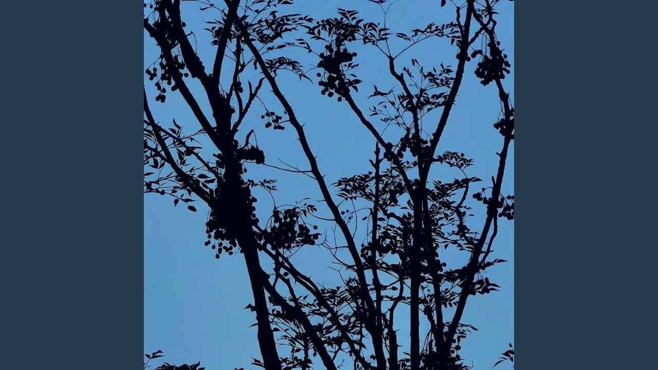 Pack Your Bags, Again