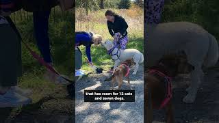 Tails on the Trail 5K benefits animal shelter No Paws Left Behind