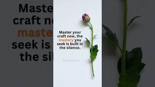 Master your craft now, the mastery you seek is built in the #viralsilence #findingmastery #vidcon