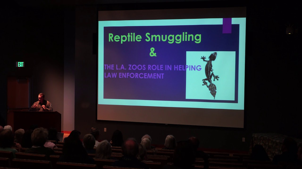 Zoo Directors Series: Illegal Wildlife Trafficking