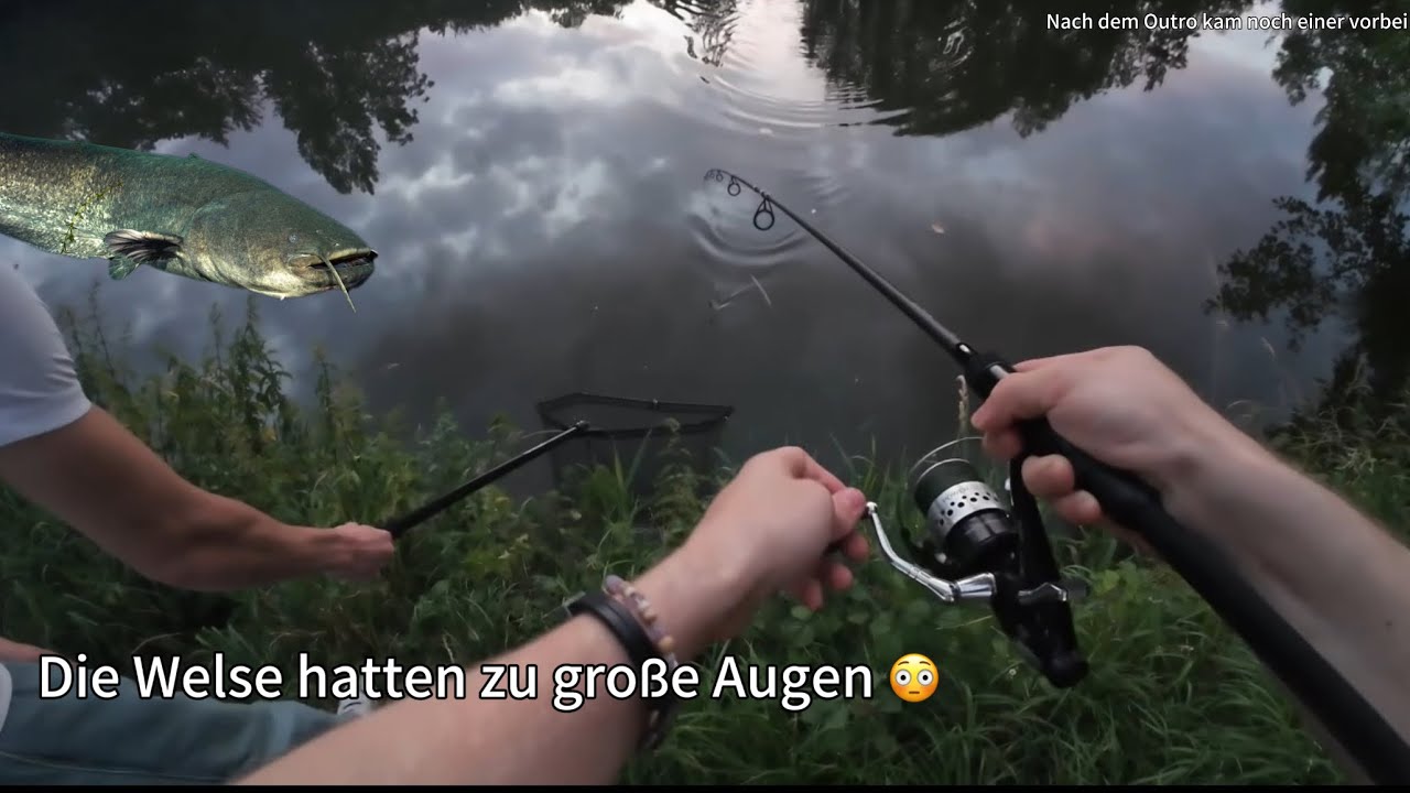 Ansitz auf Aal & Wels - Kleine Welse mit großen Plänen!