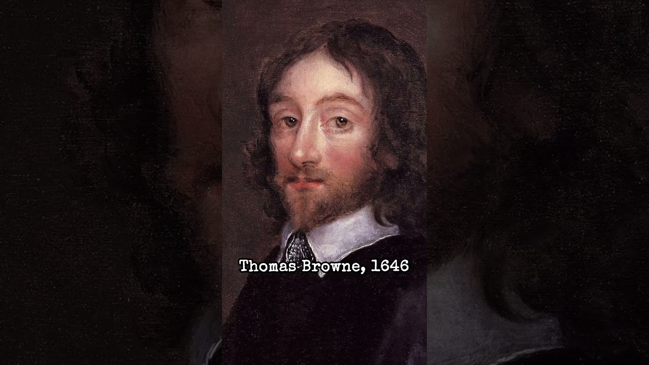 The shocking story of static electricity!!