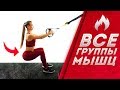 TRX Тренировка в Домашних Условиях| 20 минут