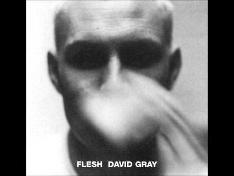 David Gray (+) Flesh