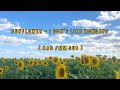 Sunflower - I Don&#39;t Like Mondays [ kan /m sub ]