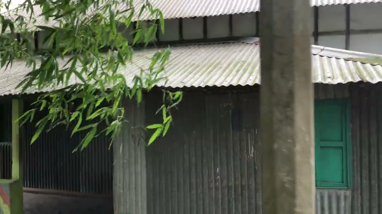 জরুরী প্রয়োজনে কম দামে ৪ শতাংশ জায়গা সহ টিন শেড বাড়ি বিক্রি বাইমাইল সিংগাইর ফোনঃ ০১৩২৮৩৬৬৭১৬ 