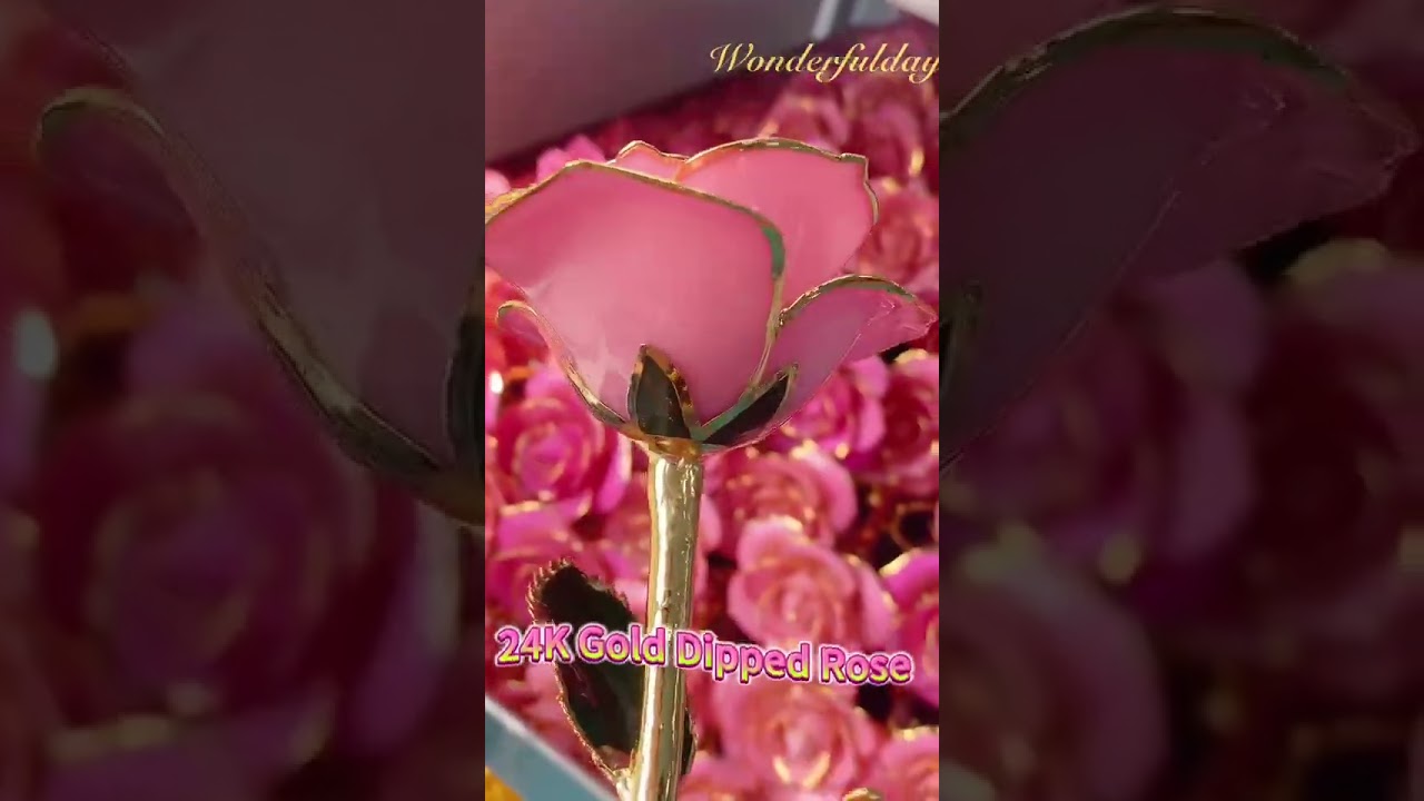 24K Gold Dipped Eternity Rose - The Perfect Gift for Her 