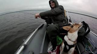 Озеро Пирос в Новгородская область, рыбалка c лодки на спининг